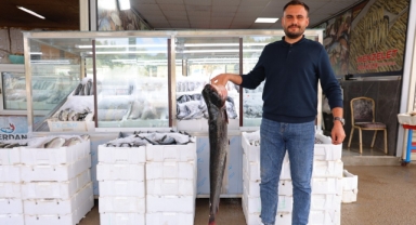 Kahramanmaraş’ta Balık Sezonu Hareketlendi: Fiyatlar 200 İla 1000 Lira Arasında