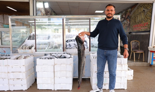 Kahramanmaraş’ta Balık Sezonu Hareketlendi: Fiyatlar 200 İla 1000 Lira Arasında
