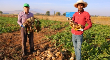 Kahramanmaraş'ta Şeker Pancarı Hasadı Başladı