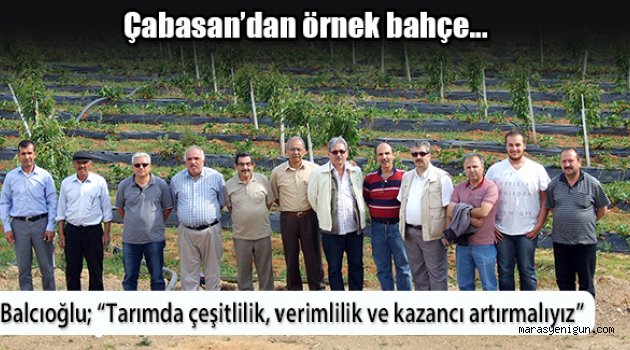 Balcıoğlu: Tarımda Verimlilik Ve Kazancı Artırmalıyız