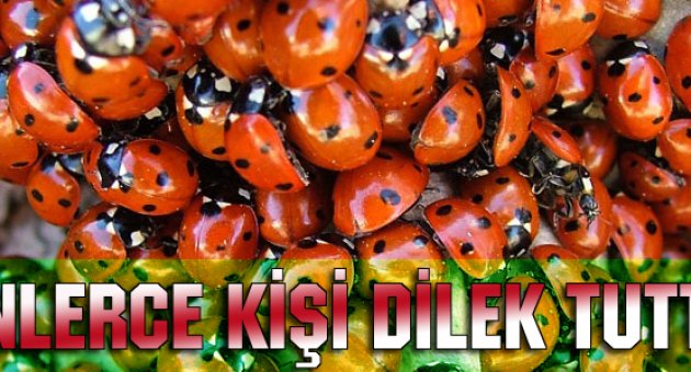 Binlerce kişi dilek tuttu..