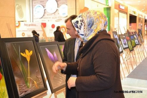 BU SERGİ KAÇMAZ...