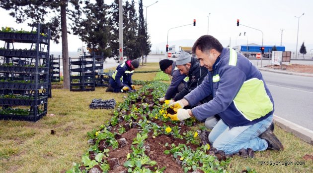 Büyükşehir 1.5 Milyon Çiçeği Toprakla Buluşturdu