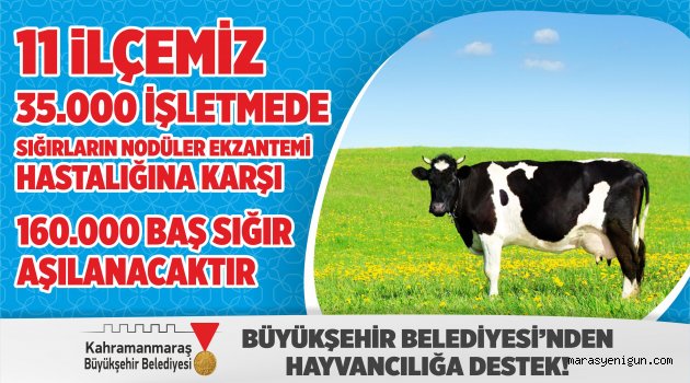 Büyükşehir’den Hayvancılığa Büyük Destek