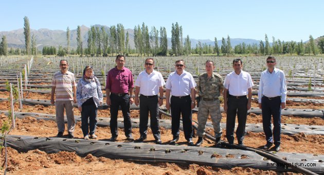 Çiftçinin emeği Göksünün çileği projesi 3.Yılında başarılı gelişimini sürdürüyor.