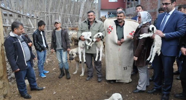 Çobanlar artık sertifikalı olacak