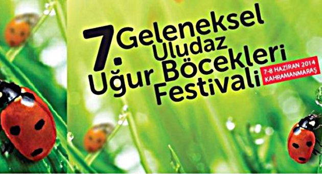 Doğaseverler Uğur Böcekleri İle Buluşacak