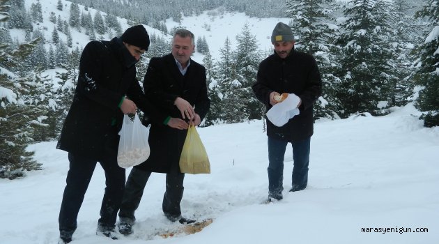 Ekinözü ’nde Ak Partililer Aç Kalan Yaban Hayvanları Unutmadı