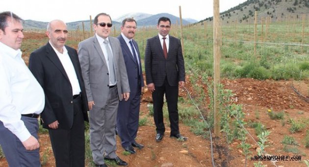 Göksun, Elma Üretiminde Türkiye Markası Olacak