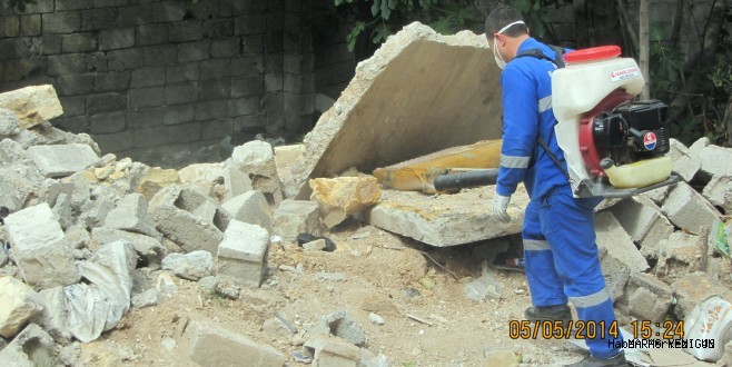 Haşere ve Zararlılarla Mücadele Devam Ediyor