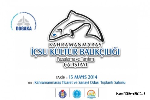 İÇSU KÜLTÜR BALIKCILIĞI TANITIM VE PAZARLAMA ÇALIŞTAYI 15 MAYISTA