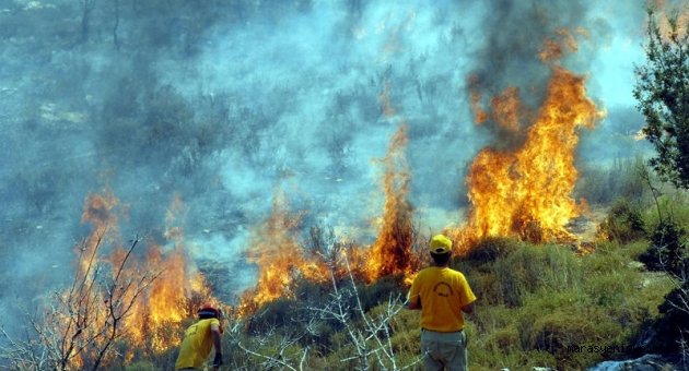 Kahramanmaraş’ta 118 yangın meydana geldi