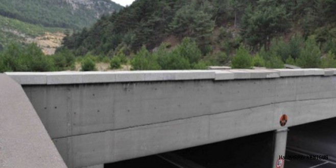 Karayollarına Yaban Hayvanları İçin Ekolojik Köprüler Kuruluyor…