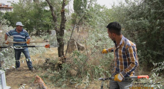 MEZARLIK ALANLARINDA AĞAÇ BUDAMA VE TEMİZLİK ÇALIŞMALARIMIZ DEVAM EDİYOR…