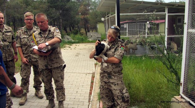 Nato Birliği’nden Sokak Hayvanları Rehabilitasyon Merkezine Ziyaret