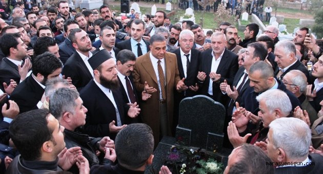 Sedat Peker, Yoğun ilgiden memnun...