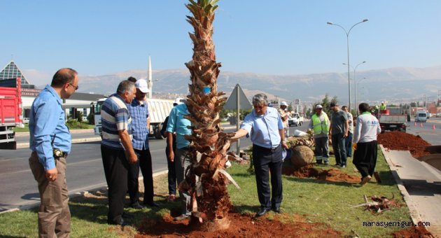REFÜJLER PALMİYERLERLE BULUŞUYOR