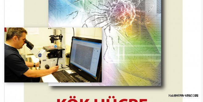 SANKO ÜNİVERSİTESİ BİLİMSEL TOPLANTILARA EVSAHİPLİĞİ YAPIYOR
