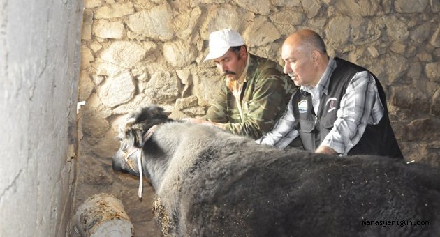 SONBAHAR DÖNEMİ ŞAP AŞILAMA KAMPANYASI BAŞLADI.