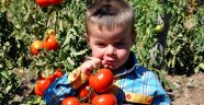 8. Tarım Ve İnsan Fotoğraf Yarışması Başvurularında Son Bir Hafta…