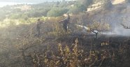 Afşin’de Aynı Gün Çıkan 14 Anız Yangını İki Bahçeye Sıçradı