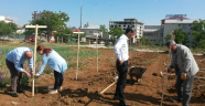 Afşinde Gojjyberry (Kurt Üzümü) Bahçesi Kuruldu