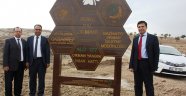 Arı Ormanı yeşeriyor!
