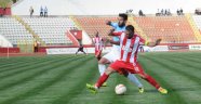 Aslan lideri parçaladı