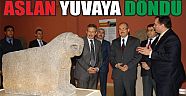 ASLAN YUVAYA DÖNDÜ