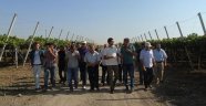 “Bağcılıkta şimdiye kadar bildiklerimizi unutalım”