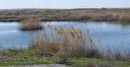 Bağlama Gölü, turizme kazandırılacak