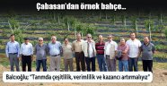 Balcıoğlu: Tarımda Verimlilik Ve Kazancı Artırmalıyız