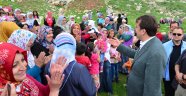 Başkan Erkoç Abaz Yayla Şenliklerine Katıldı