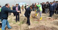 Başkan erkoç: “eski çöplük alanını ağaçlandırıyoruz”