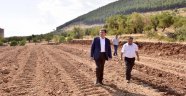 Başkan Erkoç, Yeni Bulvarda İnceleme