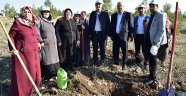 Başkan Okay'ın Ağaç Sevgisi