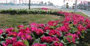 Büyükşehir Çiçeklerle Bezeniyor…