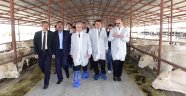 Büyükşehir’den Aşılama Kampanyası