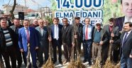 Büyükşehir’den çiftçilere elma fidanı