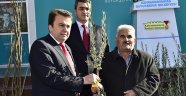 Büyükşehir’den Fidan Dağıtımı