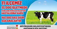 Büyükşehir’den Hayvancılığa Büyük Destek