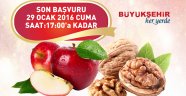 Büyükşehir’den Kuzey İlçelerine Fidan Desteği