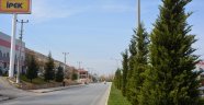Büyükşehir Elbistan’da Refüjleri Düzenledi