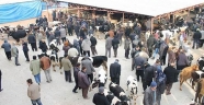BÜYÜKŞEHİR KURBAN SATIŞ VE KESİM YERLERİNİ AÇIKLADI