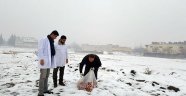 Büyükşehir Sokak Hayvanlarını Da Unutmadı