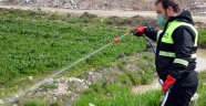 Büyükşehirden ilaçlama çalışmaları