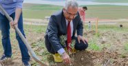 Çanakkale Zaferi’nin 101. Yılı Anısına 101 Zeytin Fidanı Dikildi
