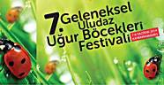 Doğaseverler Uğur Böcekleri İle Buluşacak