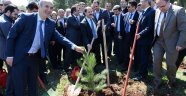 Dulkadiroğlu Belediyesi Fidan Dikme Programı