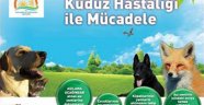 Elbistan’da Kuduz Mücadelesinde Havadan Aşılama Projesi
